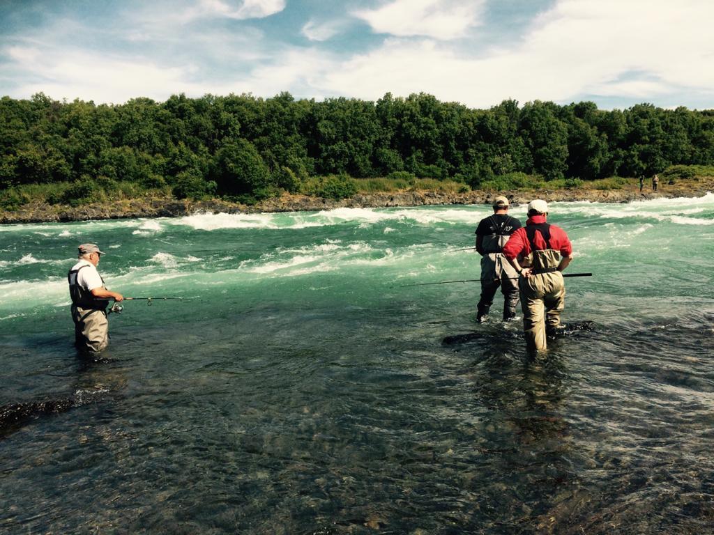 Informationen zur Einfuhr von selbstgefangenem Alaska-Wildlachs für 2020